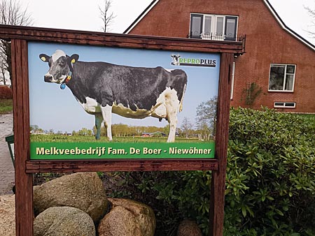 De hoogbejaarde koe Bertha 95 siert het naambord van maatschap De Boer-Niewöhner in het Groningse Midwolde. Een foto van Persbureau Noordoost in Heerenveen is uitvergroot en in een fraai houten naambord met gegevens van het bedrijf geplaatst. Het bord staat voor het bedrijf aan de Pasop in het Groningse Midwolde.