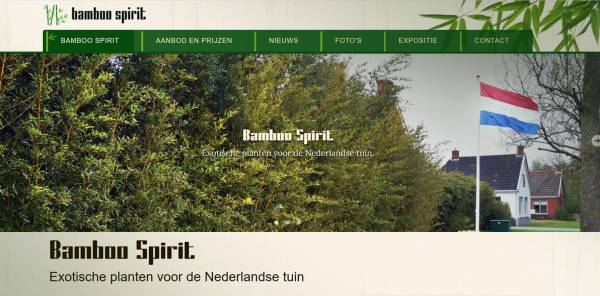 Nieuwe website voor Bamboo Spirit