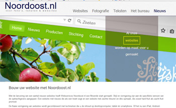 Websites van Noordoost.nl