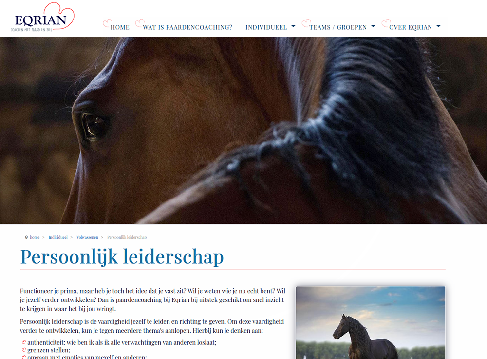 website eqrian paardencoach friesland heerenveen